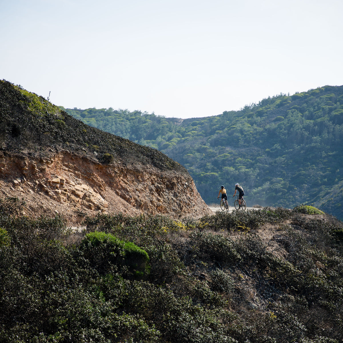 Domestique SS Jersey | Dark Green